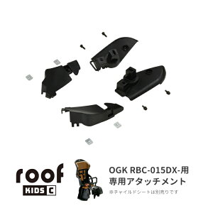 10/1̓N[|IGg[Ń|CgAbv[i]OGK [tLbYCiRCR-012jtA^b`g [RBC-015DX-p] CJo[IvVi