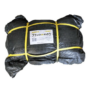 ubNŷ 300 25cm×90cm y kCA Azi܂ŷ 25x90cmj