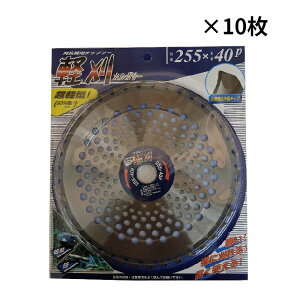 ACEbh `bv\[y 98141 255mm×40P 10
