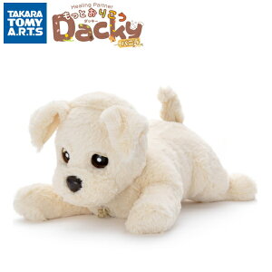 ybsOEsz^Jg~[A[c q[Op[gi[ Ƃ肱_bL[ oj