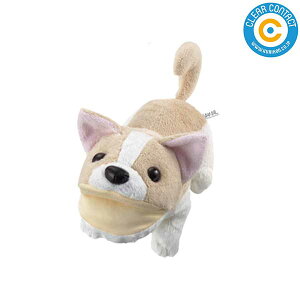 KlX^hy`zE-5 ߂˃X^h Aj}X^h ʂ  NAR^Ngyz