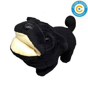 KlX^hypOzDOG E-5 ߂˃X^h Aj}X^h ʂ  NAR^Ngyz