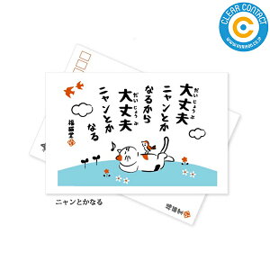 _12/5 Iōő100|CgobN^N[i[NXyjƂȂzNZ011 NX KlNX { ̓ ̓ hV̓ a Mtg MtgpbP[Wt NAR