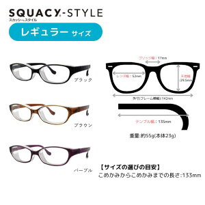 スカッシースタイル 【レギュラーサイズ】【ブラック】 8732-01 花粉対策 メガネ 花粉メガネ 花粉グラス 花粉 ゴーグル 花粉症 めがね 眼鏡 花粉防止 くもりにくい くもり止め ウイルス対策