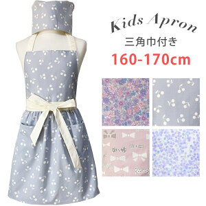 Gv LbY ǂ Gv { 160-170cmTCY s[X   qǂGv qp Gv Op Zbg S LbY Gv LbY 100% 5N 6N  160cm 