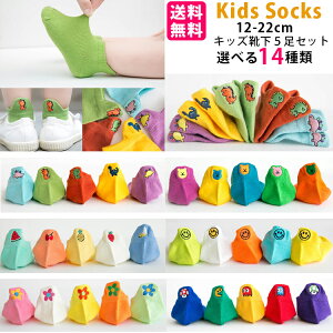 q C ėp LbY C  \bNX LbY j̎q ̎q xr[ ۈ牀 ct w12`22cm V[g\bN 킢 t