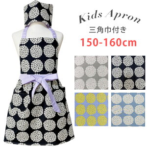 Gv LbY Gv ǂ Gv w 150-160cmTCY wN   qǂGv qp Gv Op Zbg S LbYGv 5N 6N  150cm 160cm 