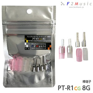 F2Music PT-R1CG 8G �_�[�q 4�� 8AWG 8sq �����≏�X���[�u�t(��/���F�e2��) �d�����C�� �v���~�A�����W�E���R�[�e�B���O�v���X �J�[�I�[�f�B�I