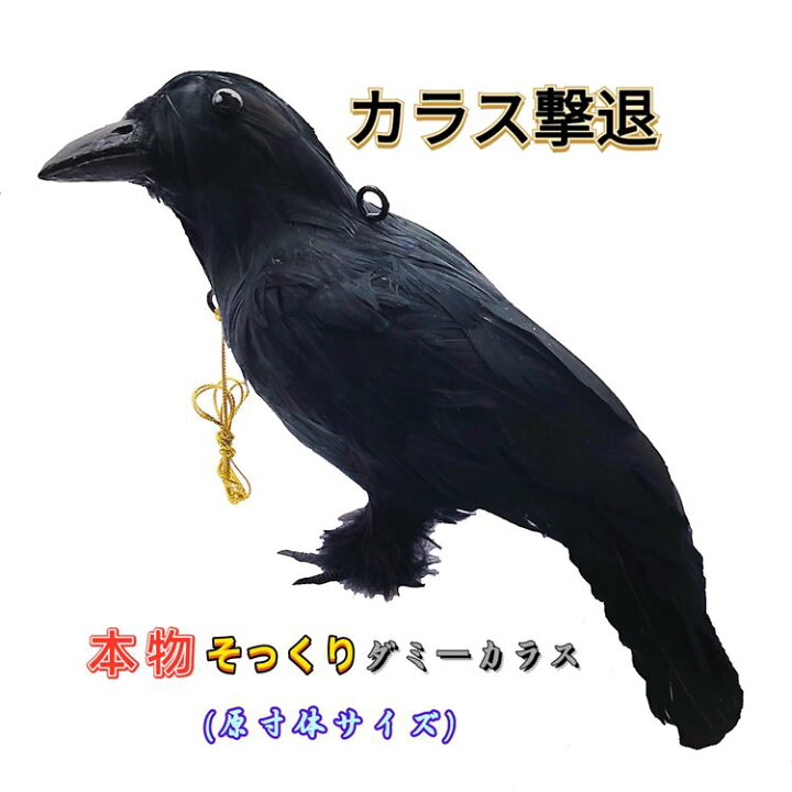 楽天市場 カラスよけ カラス撃退 カラス退治 カラス対策 ダミーカラス リアル羽毛 原寸体サイズ 約38 11 5 cm カラス退治 鳥害対策 スズメ ムクドリ 鳥よけ 鳥鳴き声 鳥フン害 鳥巣作りなど被害防止 送料無料 便利shop