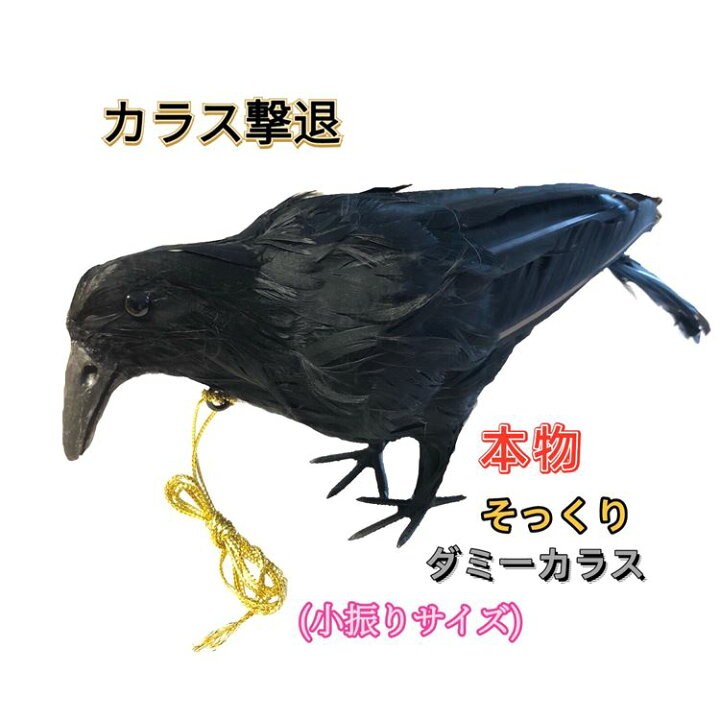 楽天市場 カラスよけ カラス撃退 カラス退治 カラス対策 ダミーカラス リアル羽毛 小振りサイズ 約32 8 5 13cm カラス退治 鳥害対策 スズメ ムクドリ 鳥よけ 鳥鳴き声 鳥フン害 鳥巣作りなど被害防止 送料無料 便利shop