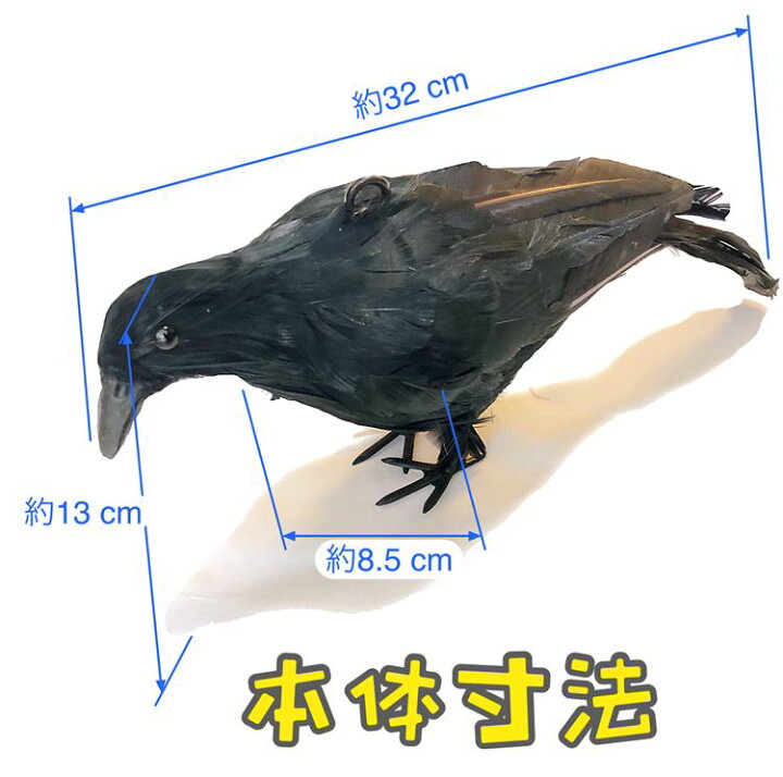 楽天市場】カラスよけ カラス撃退 カラス退治 カラス対策 ダミーカラス 