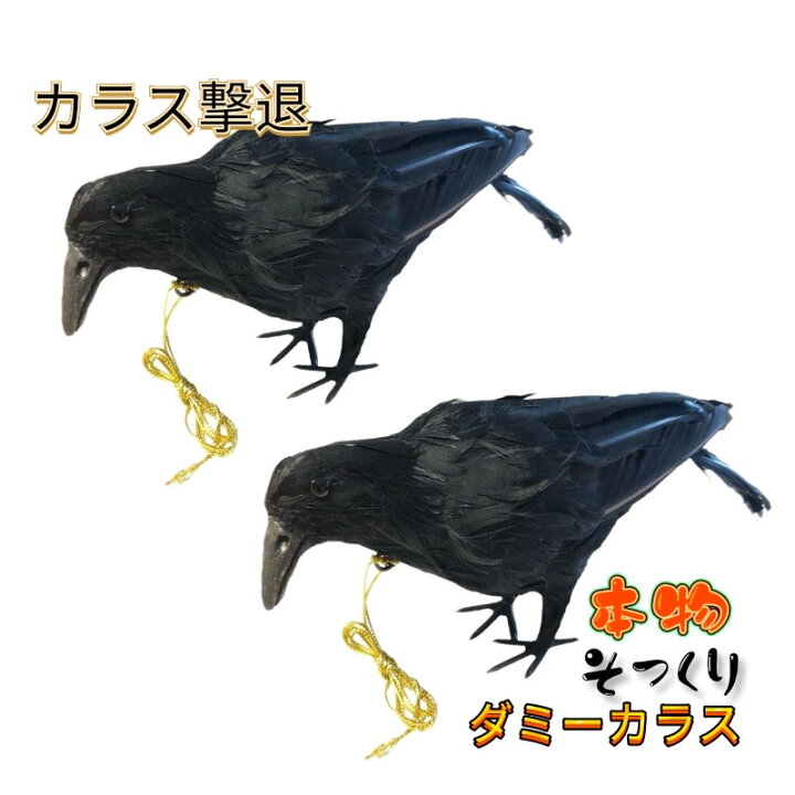 楽天市場】カラスよけ カラス撃退 【小振りサイズ 2羽】 カラス退治  