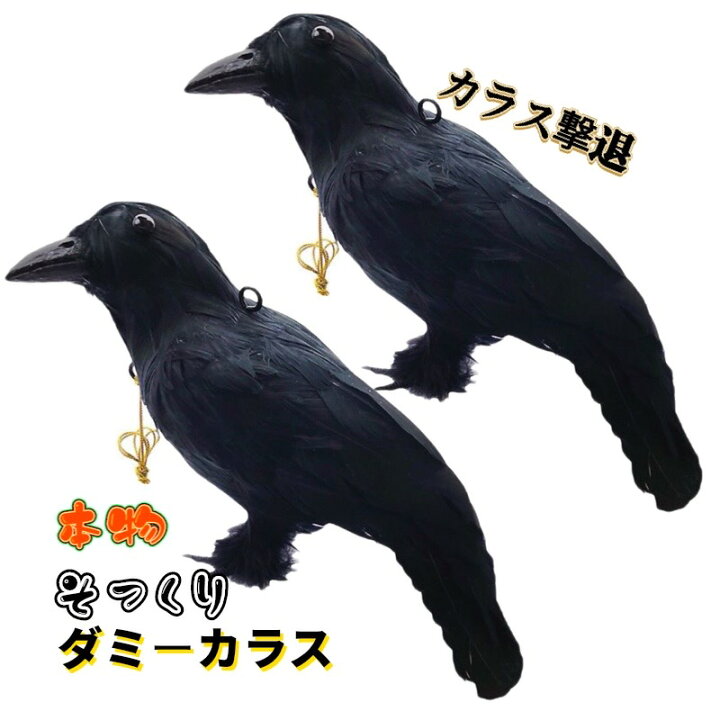 楽天市場】カラスよけ カラス撃退 【原寸体サイズ 2羽】 カラス退治 