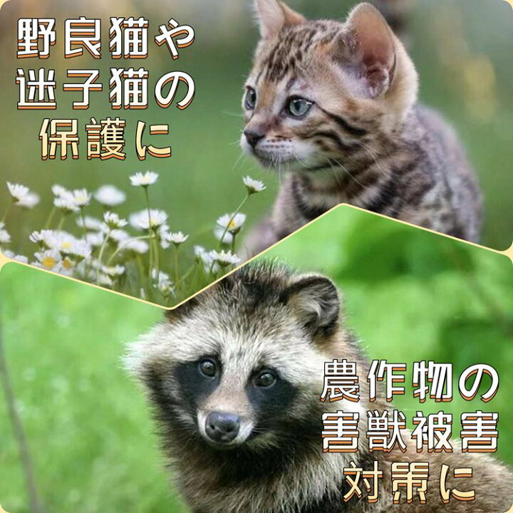 楽天市場 動物捕獲器 猫キャッチャー アニマルトラップ 踏板式 組み立て 設置 簡単 収納楽々 迷子猫 野良猫保護 農作物害獣被害防止 イタチ タヌキ ヌートリア ハクビシン アライグマ 捕獲かご 中サイズ 約66 23 26cm 送料無料 便利shop