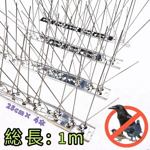 悯 悯 JX悯 悯j 100%XeX y1mz eʂŋƖpɂœK JX  Nh qh 쒹 f Q Qh~ x_  ǔL̐N΍