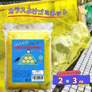 JX悯lbg JX悯S~lbg 2×3m 45L S~ 7`10 [ڈ Flbg 4ӏd JX΍ S~ulbg S~lbgF JX悯 h΍ tɕ