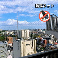 防鳥ネット 防鳥網 ナイロン 透明網 4×10m ベランダ 鳥よけネット 菜園鳥よけ 果樹園鳥よけ網 カラス避…