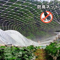 防鳥ネット 防鳥網 ナイロン 透明網 10×10m ベランダ 鳥よけネット 菜園鳥よけ 果樹園鳥よけ網 カラス避…