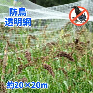 防鳥ネット 防鳥網 ナイロン 透明網 約20×20m ベランダ 鳥よけネット 菜園鳥よけ 果樹園鳥よけ網 カラス…