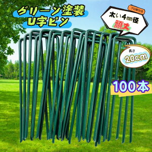 U���s�� �X�`�[���� �ɑ� 4mm�a �y20cm 100�{ �\�ʃO���[���h���z ���̓s�� �l�H�� �h���V�[�g �_�ƃr�j�[�� �� �Œ� �h���V�[�g �s�� �Y �G���V�[�g U�s�� �V�[�g������ �s�D�z�V�[�g������ �}