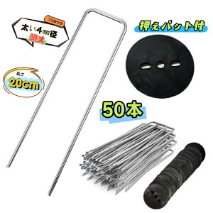 Us pbgty20cm 50{z X`[ 4mma ɑ ̓s lH hV[g _ƃrj[  Œ hV[g s Y GV[g Us V[g sDzV[g }