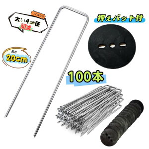 Us pbgty20cm 100{z X`[ 4mma ɑ ̓s lH hV[g _ƃrj[  Œ hV[g s Y GV[g Us V[g sDzV[g }