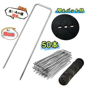 Us pbgty15cm 50{z X`[ 4mma ɑ ̓s lH hV[g _ƃrj[  Œ hV[g s Y GV[g Us V[g sDzV[g }