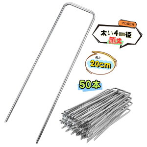 Us lH hV[g Œsy20cm 50{z bLh X`[ 4mma ɑ ̓s _ƃrj[  Œ GV[g Œs sDzV[gs }`V[gs