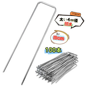 Us lH hV[g Œsy15cm 100{z bLh X`[ 4mma ɑ ̓s _ƃrj[  Œ GV[g Œs sDzV[gs }`V[gs