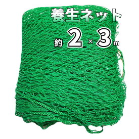 【P2倍 7/4 20時 ～ 7/10 23時まで】防鳥ネット 動物避けネット 養生ネット 荷崩れ防止ネット 2×3m 網目2.5cm PE素材 グリーン 安全ネット 園芸ネット 安全ネット 落下防止ネット 防球ネット スポーツ練習用ネット