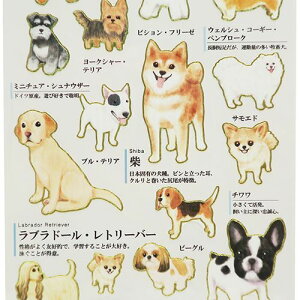 V[@Kl̐} V[ ~jXebJ[l̐}ӃV[@/y(46649)@l}ӃV[