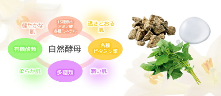 楽天市場】ファシーノ プレミアムクリーム 34g 医薬部外品 最先端技術 
