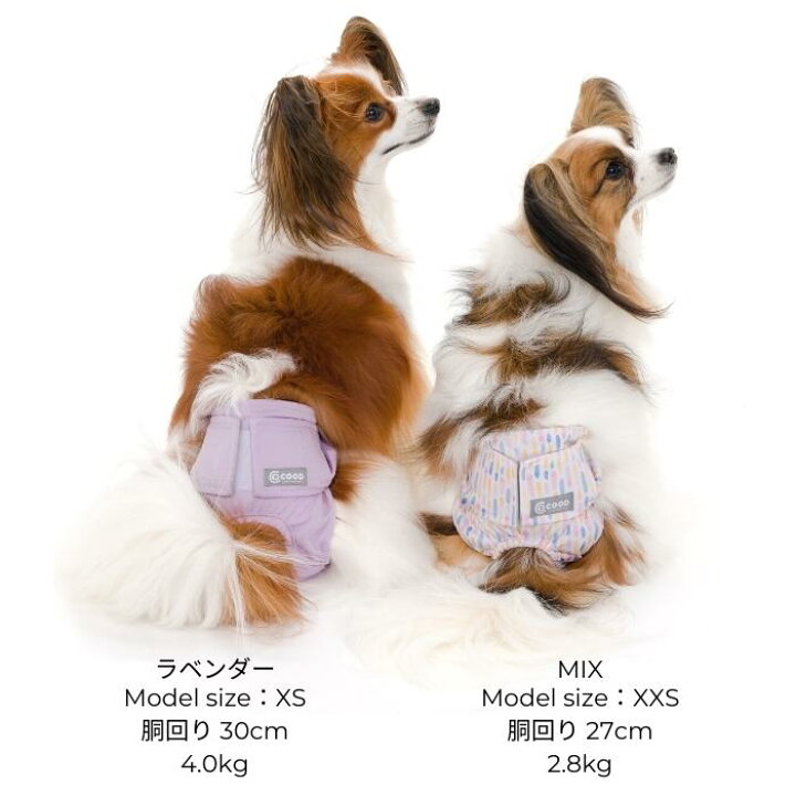 楽天市場 マナーパンツ 漏れない オムツカバー 超吸収パッド入り 洗える 犬 おむつカバー おむつ カバー 犬用マナーパンツ 犬用パンツ 犬のオムツ オムツ 犬用オムツ 犬用おむつ メス 女の子 介護用 シニア犬 介護 交配 高齢犬 通気性 避妊 ずれない マナー