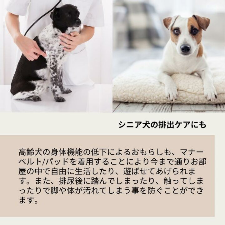 楽天市場 マナーベルト 中型犬 漏れない ペット オムツカバー 洗える 犬 おむつカバー おむつ カバー オムツ 犬用マナーパンツ 犬のオムツ オス 男の子 介護用 シニア犬 かぶれ 介護 去勢 交配 高齢犬 通気性 避妊 ずれない マナー ズレ防止 室内 おでかけ ドライブ 防水