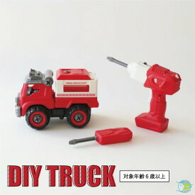 ◆DIY TRUCK R/C ディーアイワイ トラック アールシー 自分で こわして・組み立て・遊べる キット 知育玩具　こども　車　くるま DIY