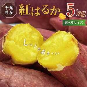 y _ƒ z g͂邩 tY 5kg IׂTCY S / S~L ܂ ˂Ƃ Â n