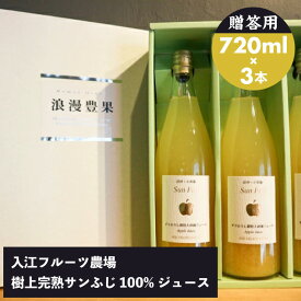 ※一部地域 送料加算※【入江フルーツ農場】[すりおろし顆粒入]樹上完熟サンふじ 100%ジュース 贈答用