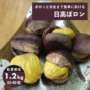 ※日付指定不可※数量限定!日高ぽロン(栗 ぽろたん) 稀少な新品種栗