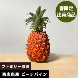※代引き不可・日付指定不可※西表島産ピーチパイン 2kg以上(2-3玉)[ファミリー農園]