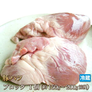 Y nc iSj1 Y  S n[g z |[N ē ؋ Ă ܂ ӎ o[xL[ BBQ Mtg  Ε   ̓ ̓  O ①