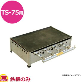 兼光産業 プレス鉄板 TS-75用 750×450×9mm（送料無料 代引不可）