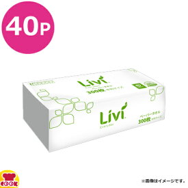 ユニバーサルペーパー リビィ エブリデイペーパータオル レギュラー（中判） 300枚入×40個（送料無料 代引不可）