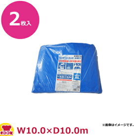 サンキョウプラテック ブルーシート #3000 厚手 10m×10m 2枚入 BS-30100100（送料無料 代引不可）