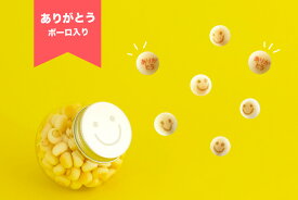 ニコボーロ 50g 球体PET入り プチギフト ありがとう メッセージ入り おうさまのおやつ