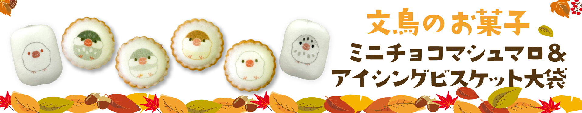 文鳥のお菓子特集