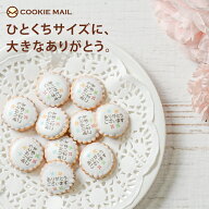 メッセージ ありがとうございます アイシングビスケット大袋 約60粒 210g プチギフト お配り 個包装 ビス…