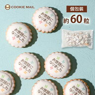 お世話になりました お菓子 メッセージ 入り アイシングビスケット 約60粒 210g お中元 夏ギフト プチギ…