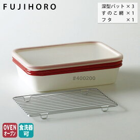 ホーロー 揚げ物バット 5点 セット 深型バット すのこ網 フタ付き 富士ホーロー BM-3V.NR 【 天ぷらバット 揚げ物 バット 揚げ物調理 保存容器 琺瑯 油切り 水切り ほうろう 調理ツール 】
