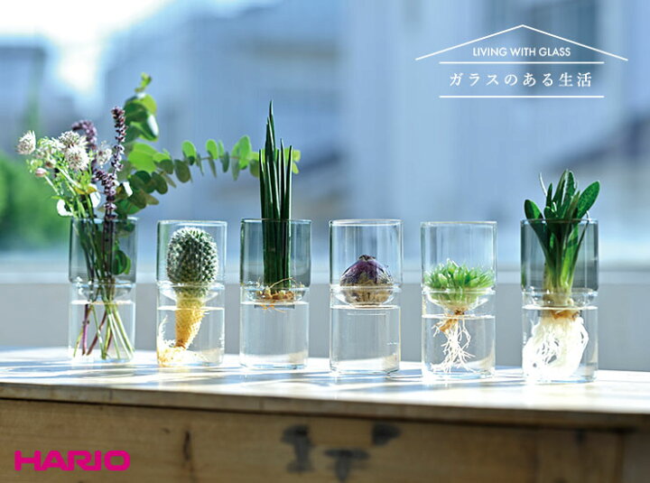 楽天市場】ハリオ ガラスのある生活 ガラスの花器 HARIO 【 フラワー 