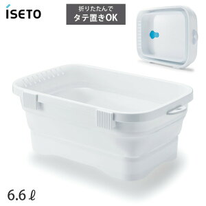 Lb`\tg^u ܂肽 􂢉 cuX^ht 6.6L zCg ISETO I-590 ɐ CZg[ y VN  ܂ u ` e X Lb` [ { z